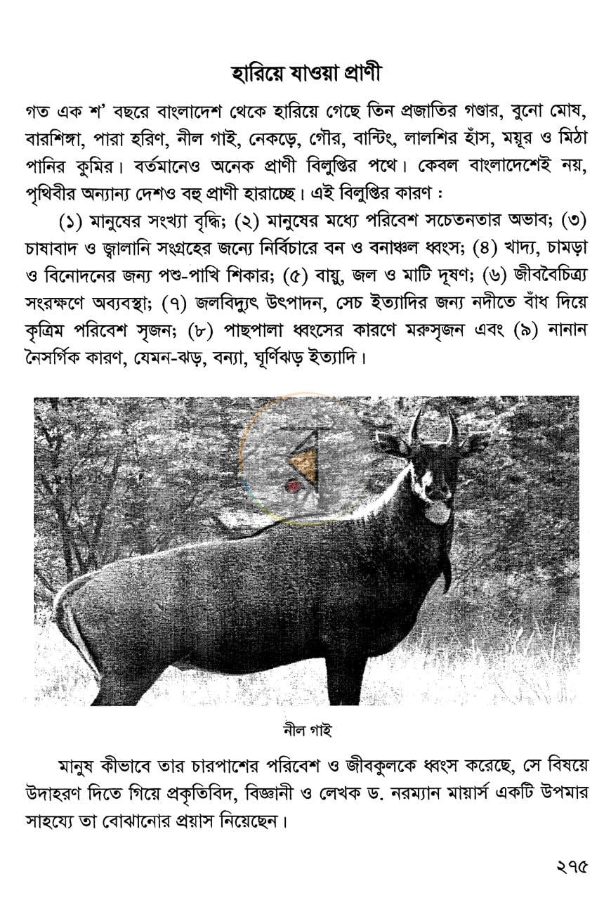 পাতা 19