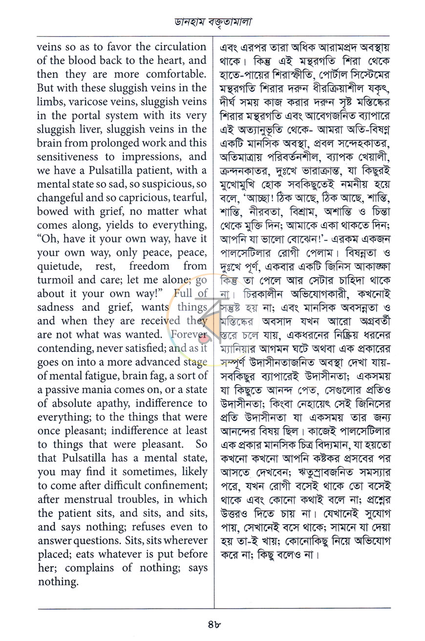 পাতা 13