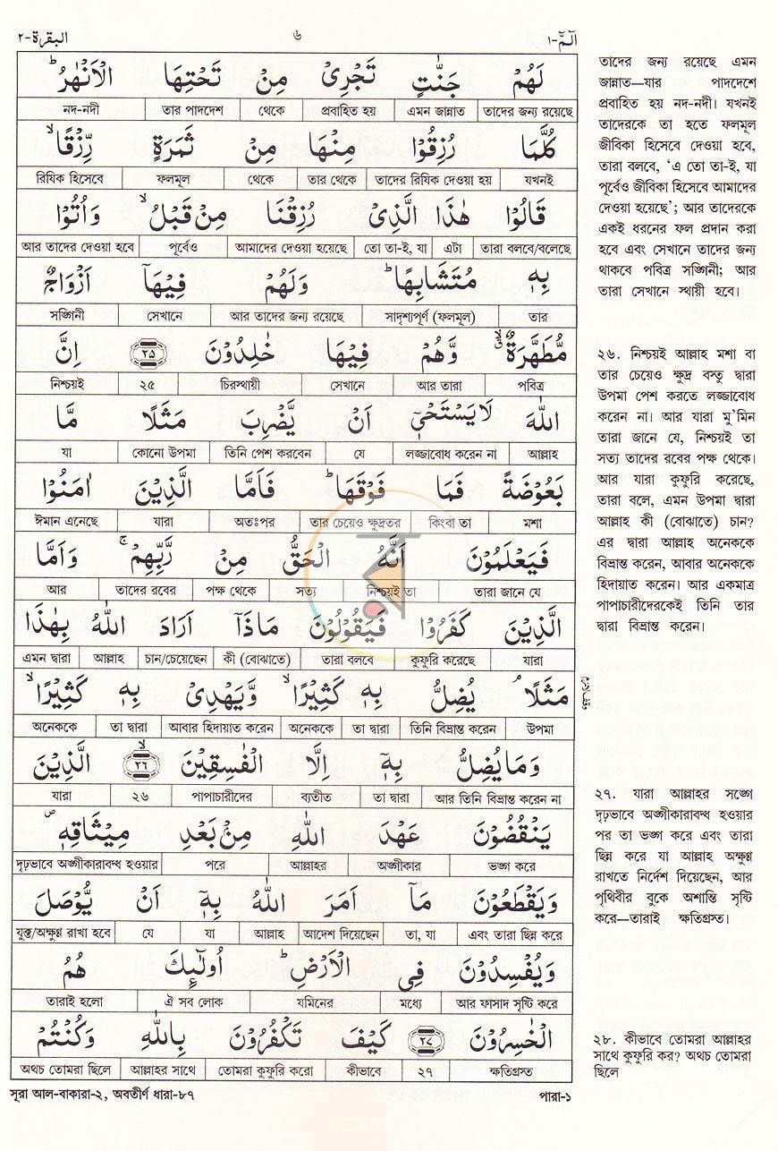 পাতা 11
