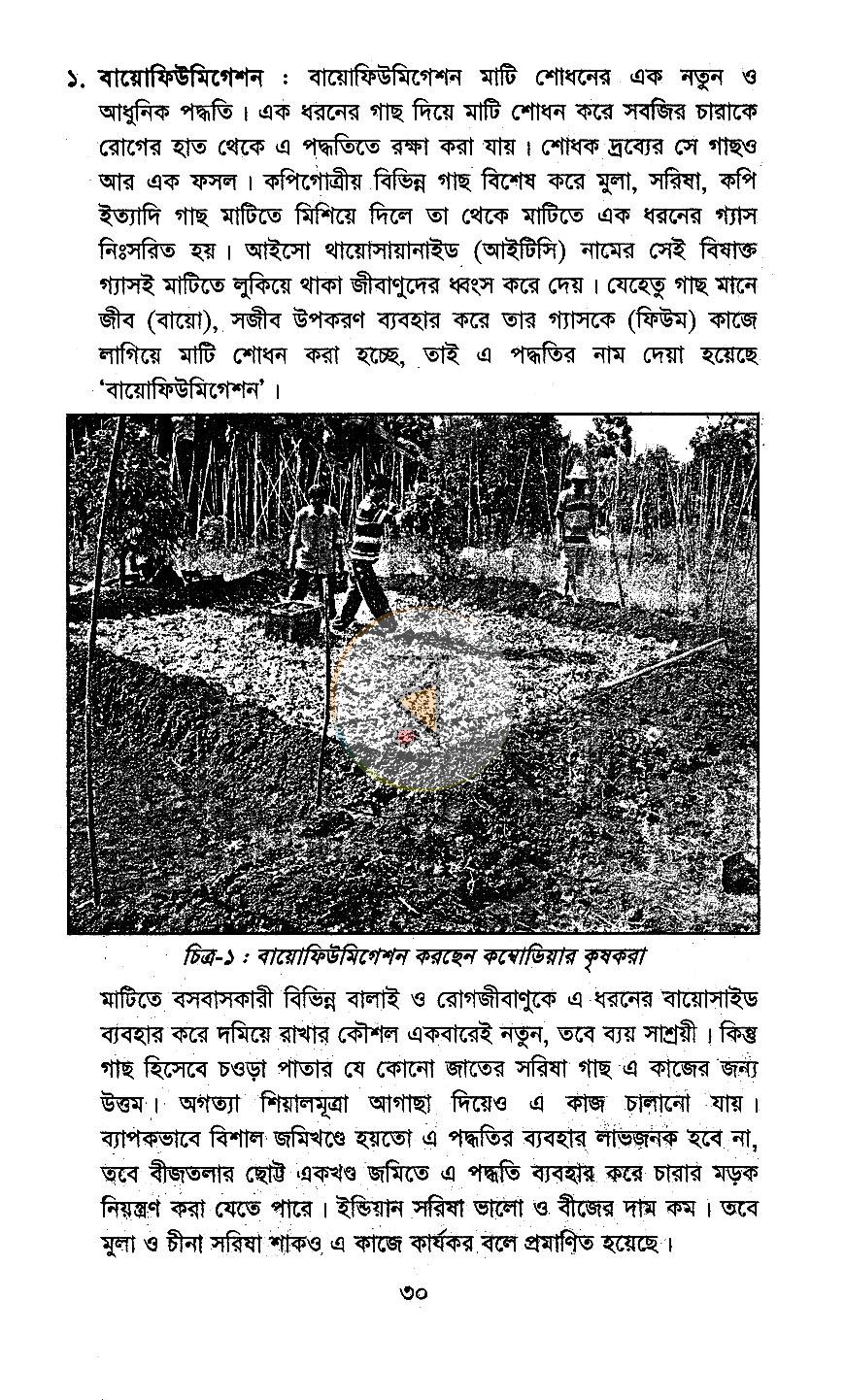 পাতা 13