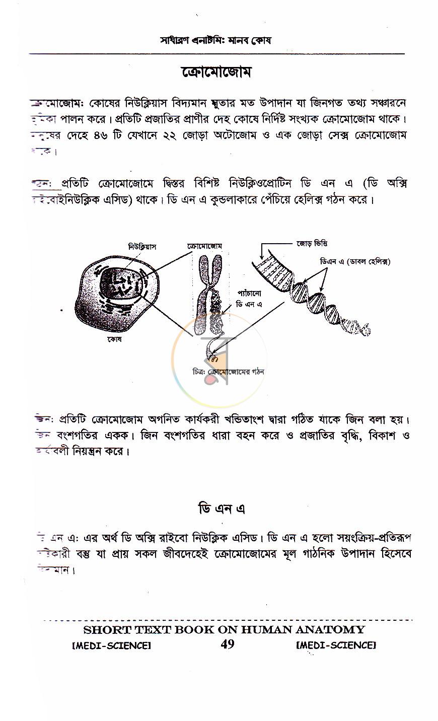 পাতা 16