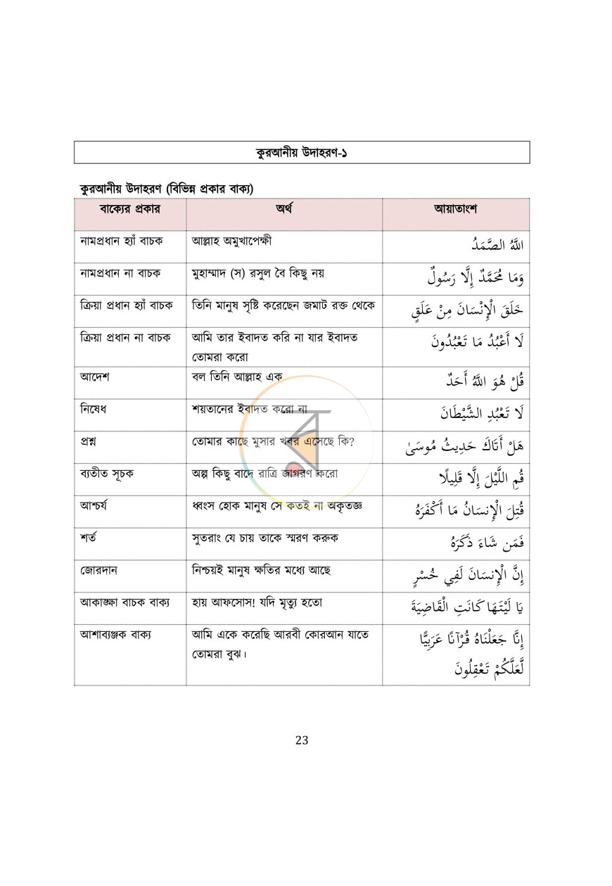 পাতা 13