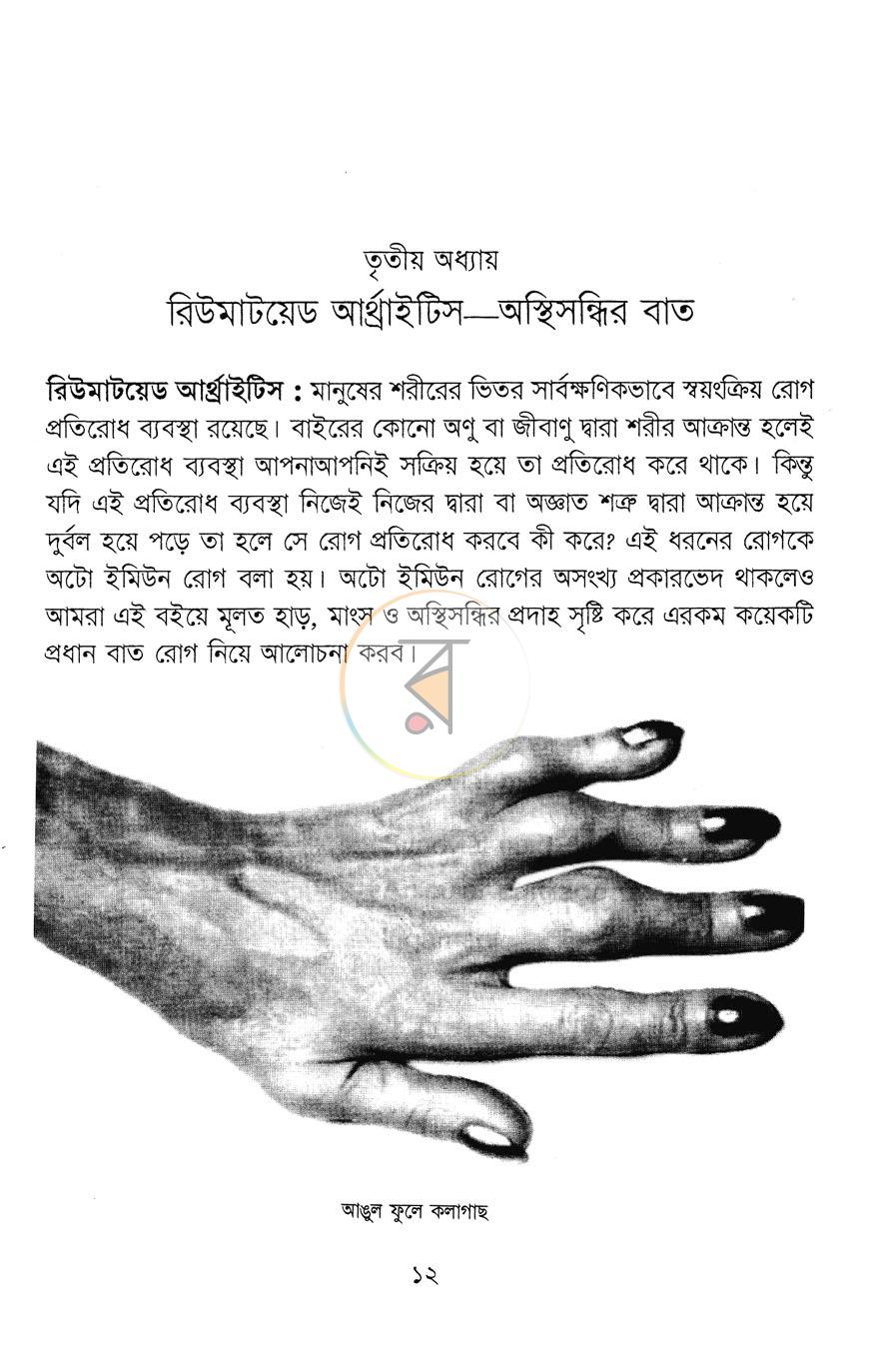 পাতা 13
