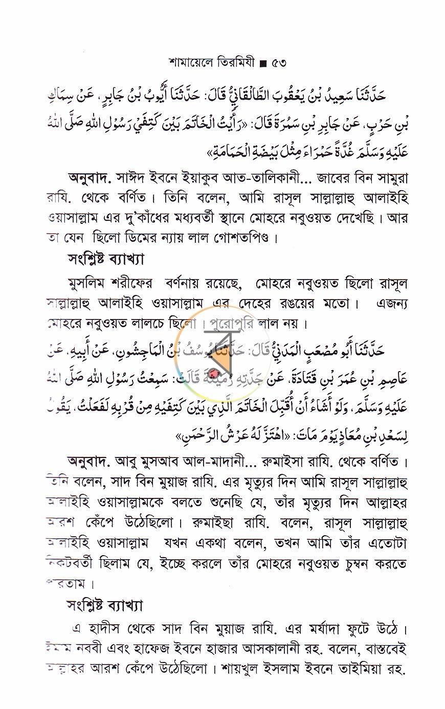 পাতা 15