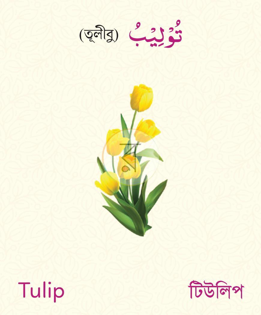 পাতা 3