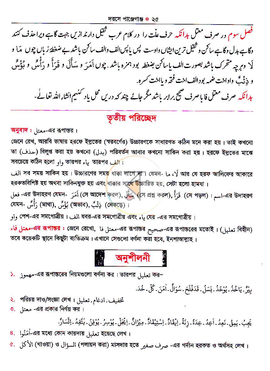 পাতা 13