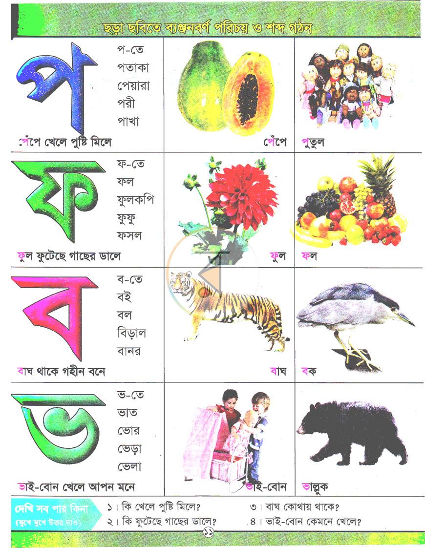 পাতা 7