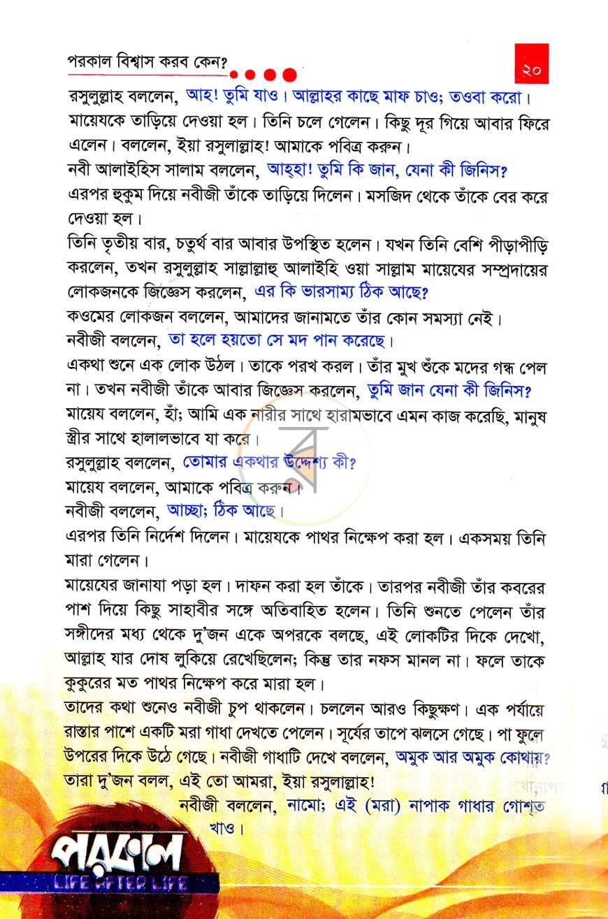 পাতা 13
