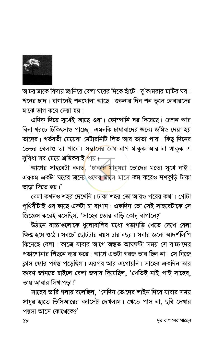 পাতা 13