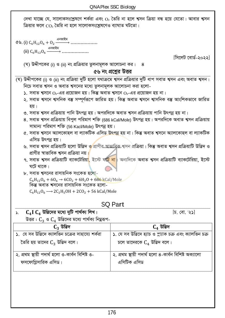 পাতা 19