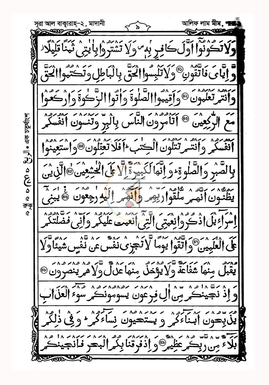 পাতা 11
