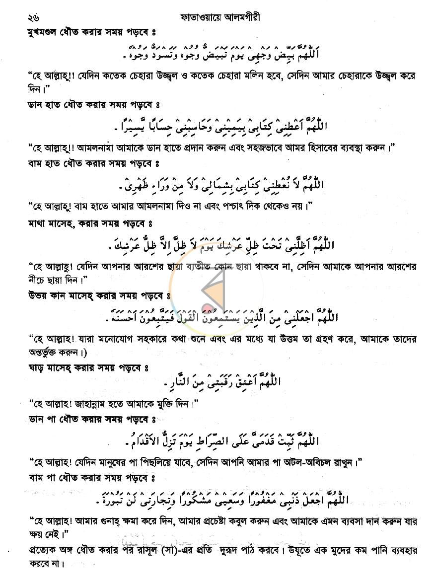 পাতা 13