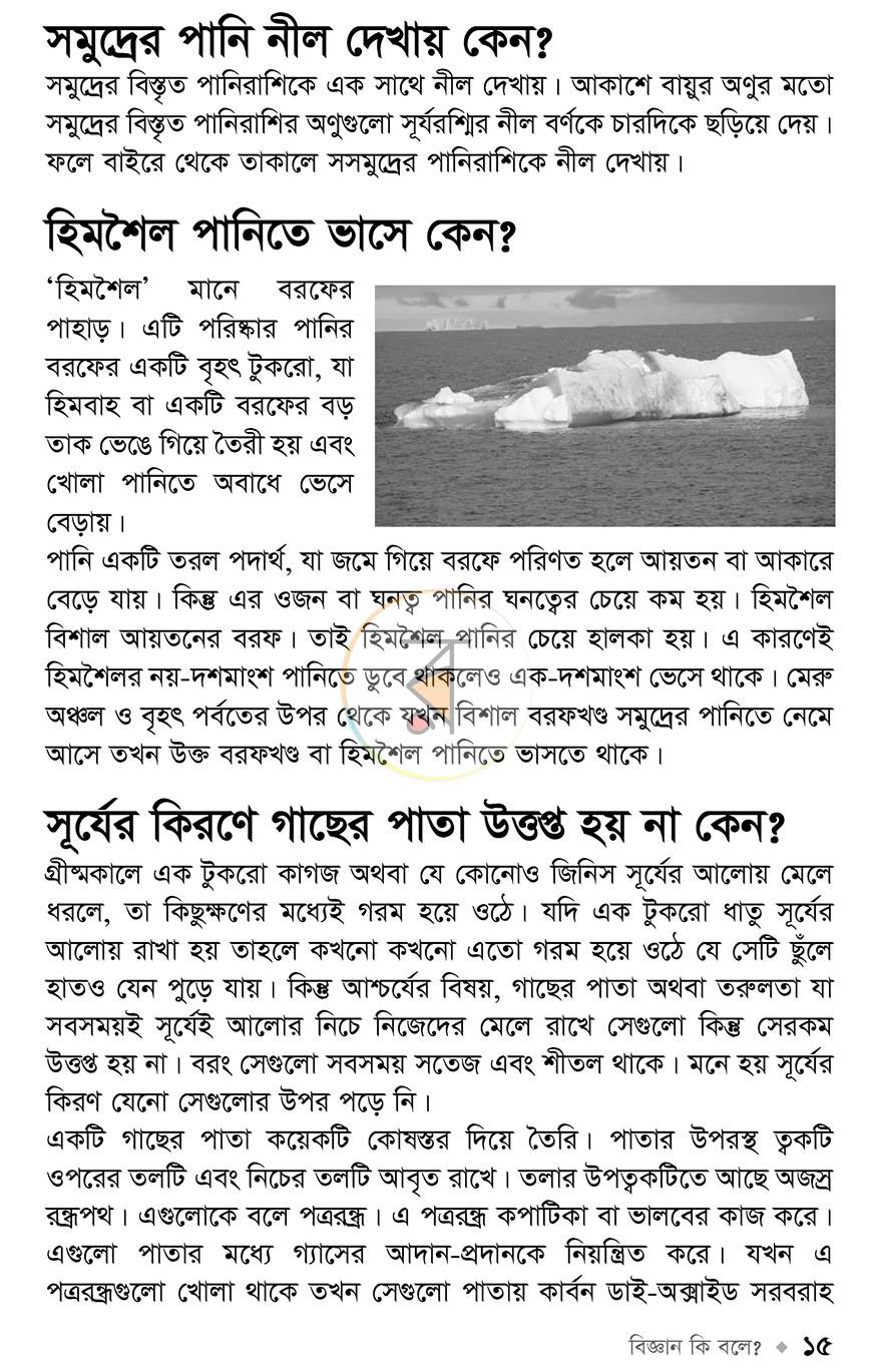 পাতা 10