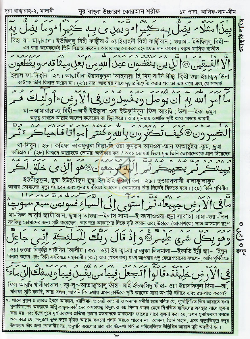 পাতা 11