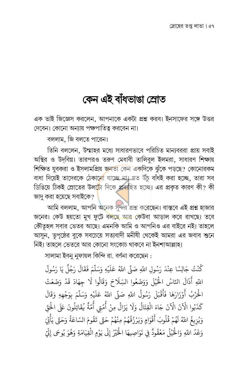 পাতা 13