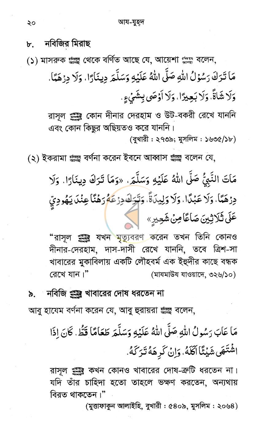 পাতা 8