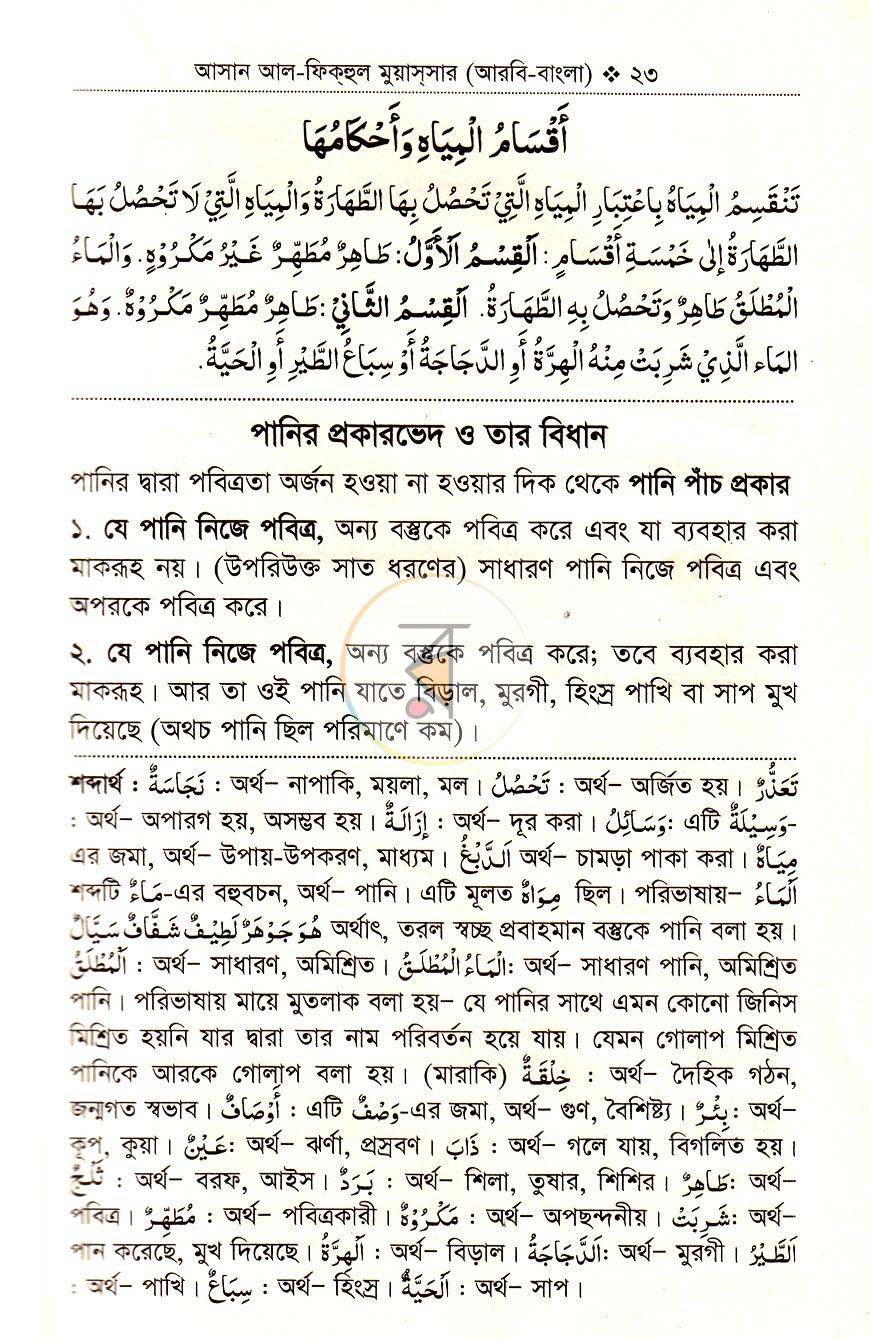 পাতা 13