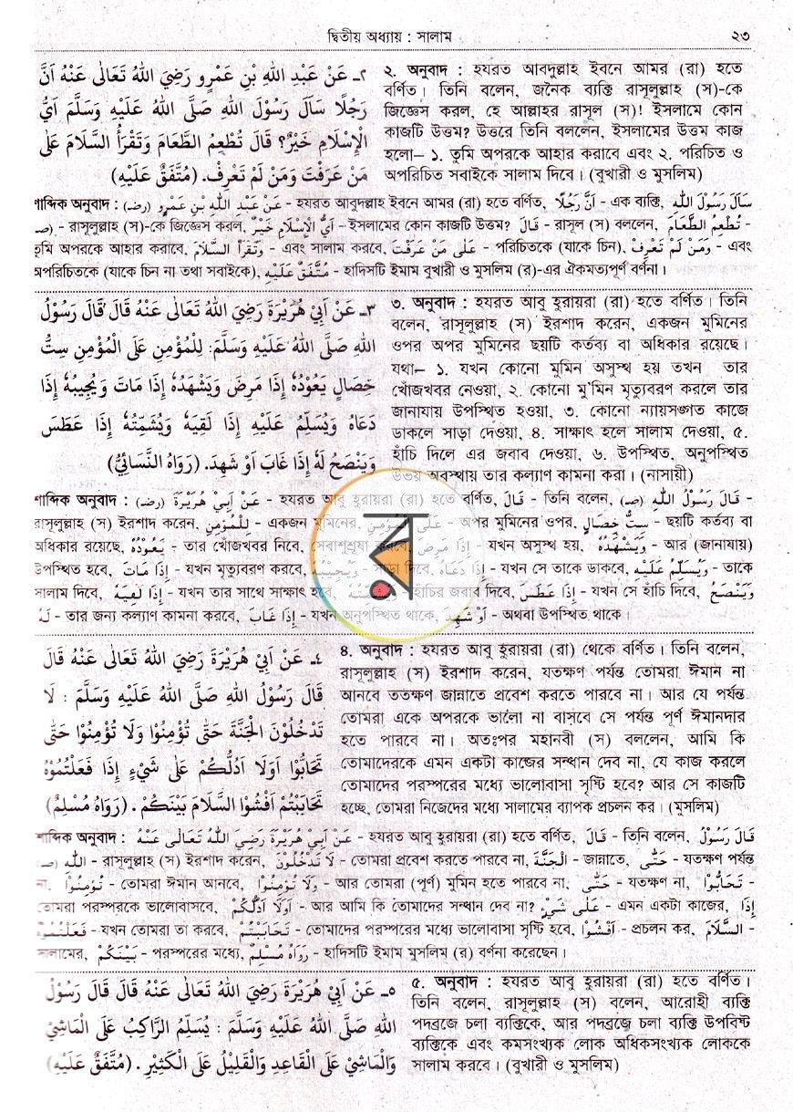 পাতা 9