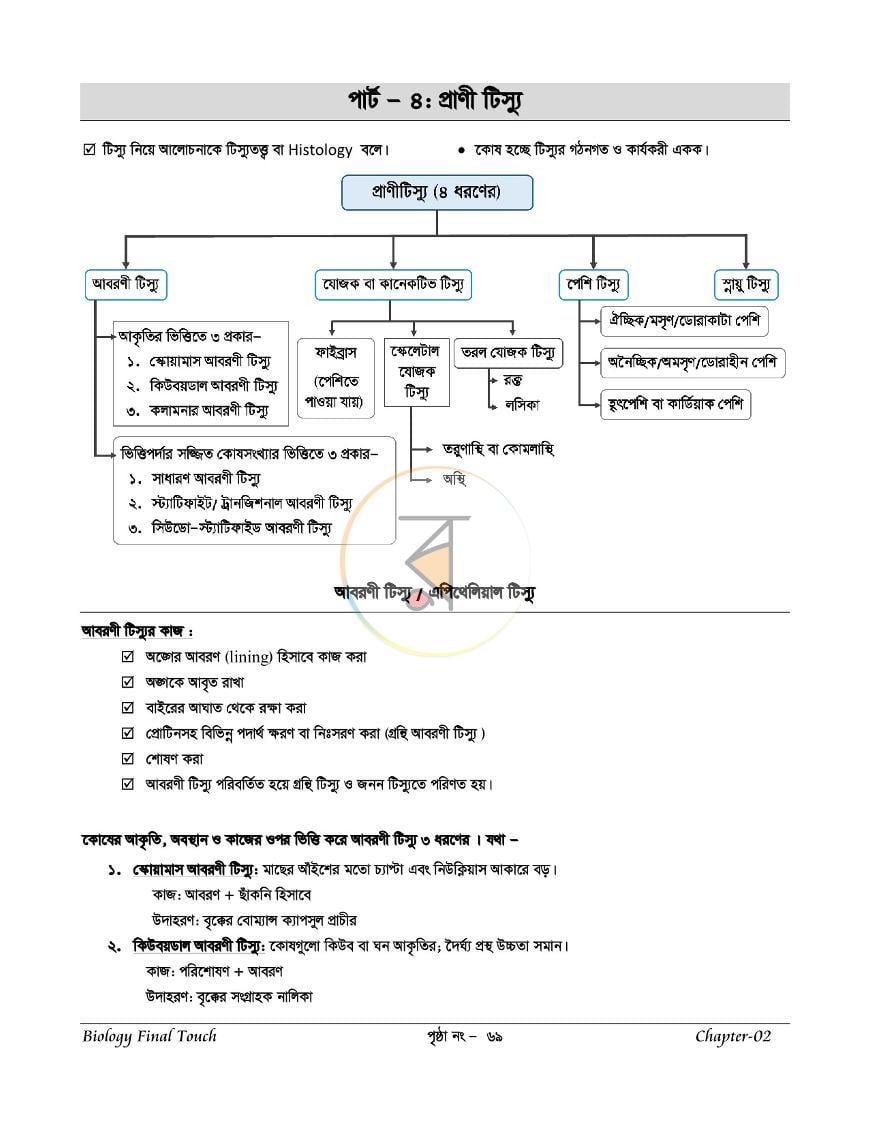 পাতা 9