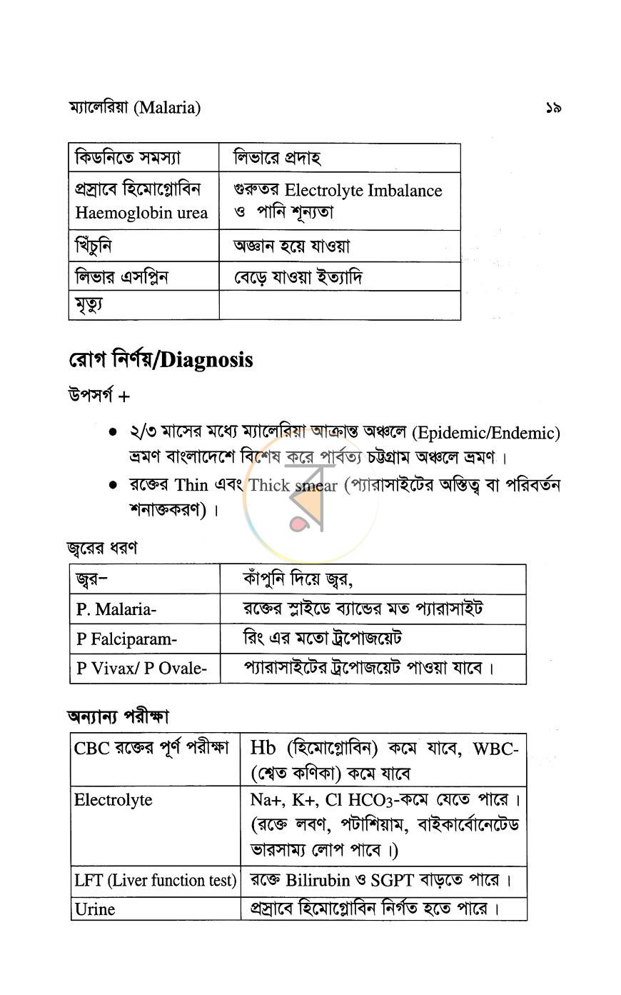 পাতা 11