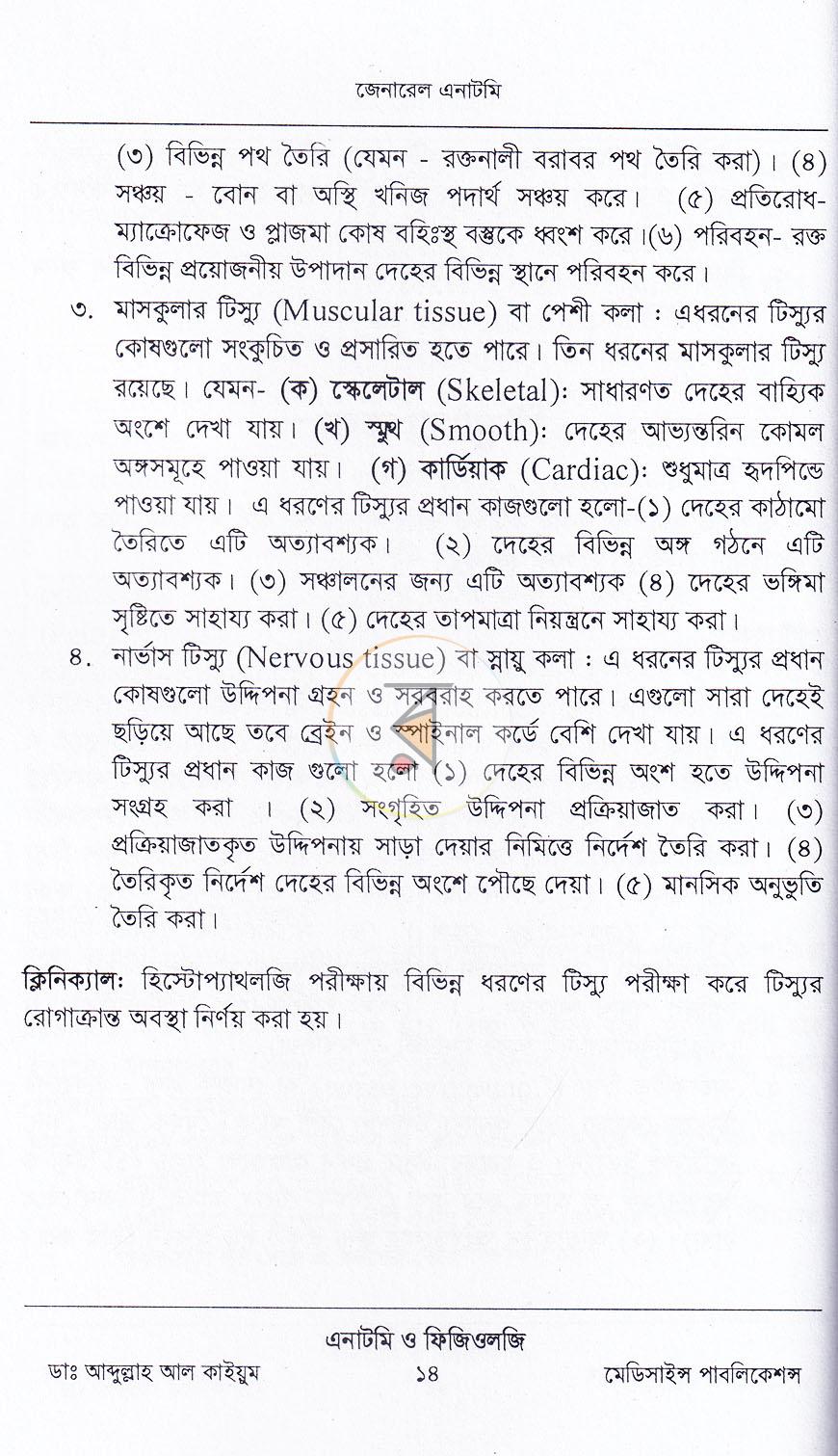 পাতা 11