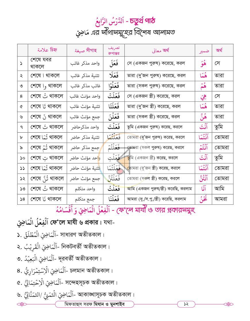 পাতা 11