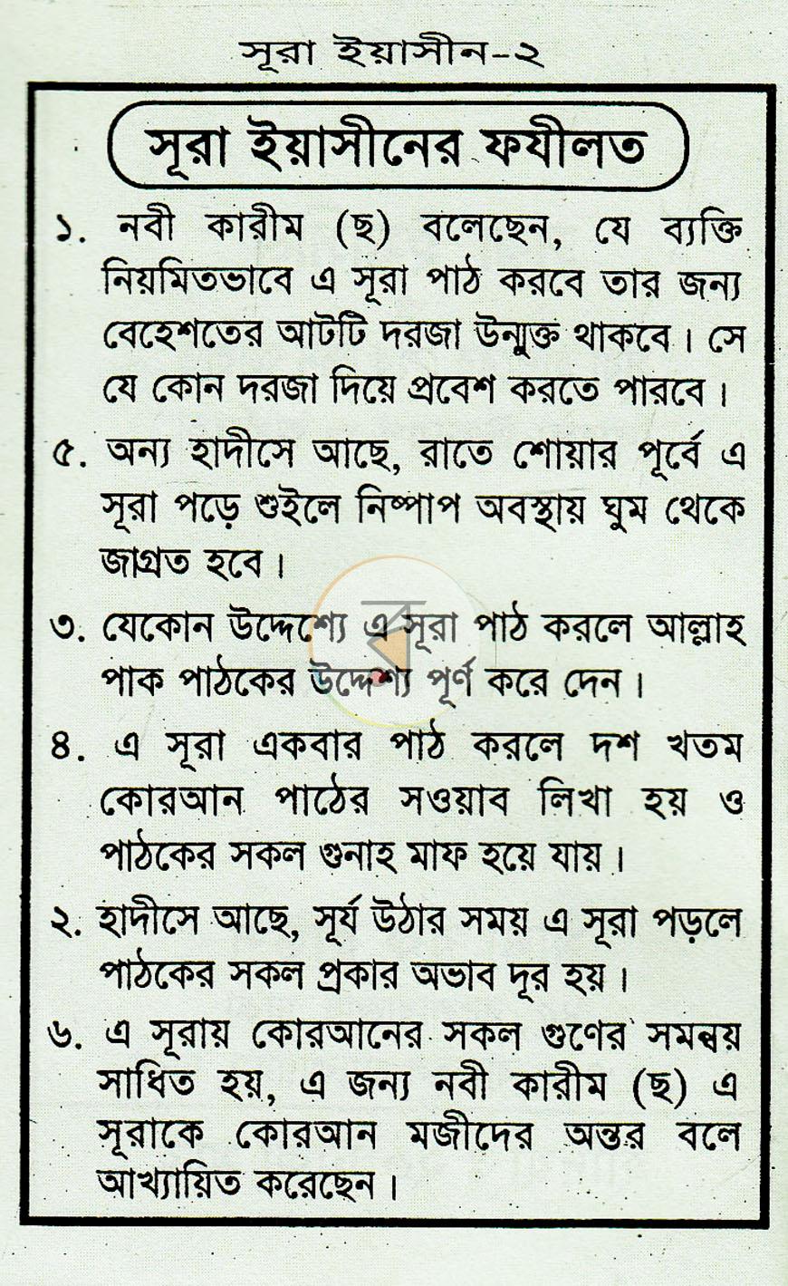 পাতা 2