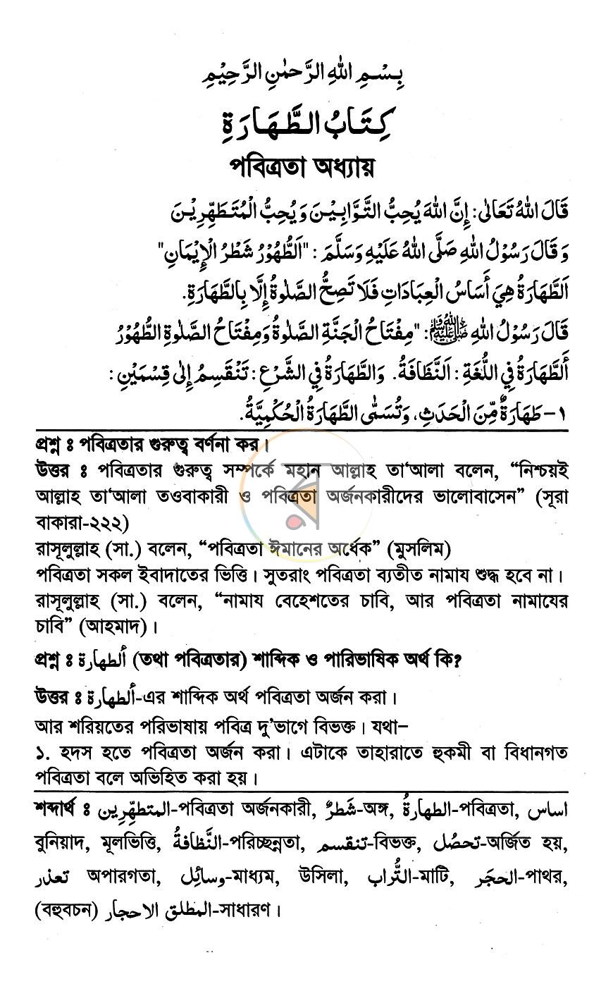পাতা 7