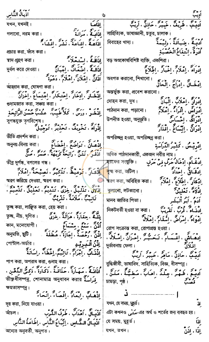 পাতা 10