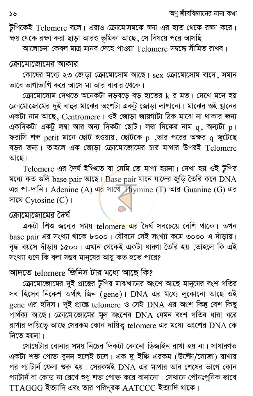 পাতা 10