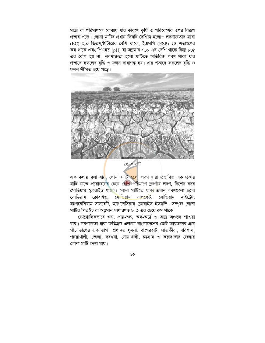 পাতা 10