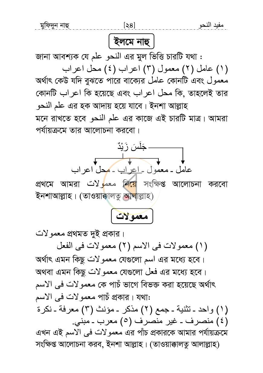 পাতা 13