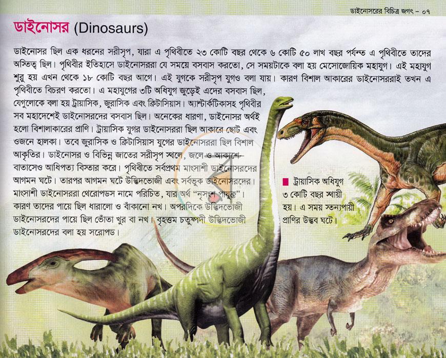 পাতা 5