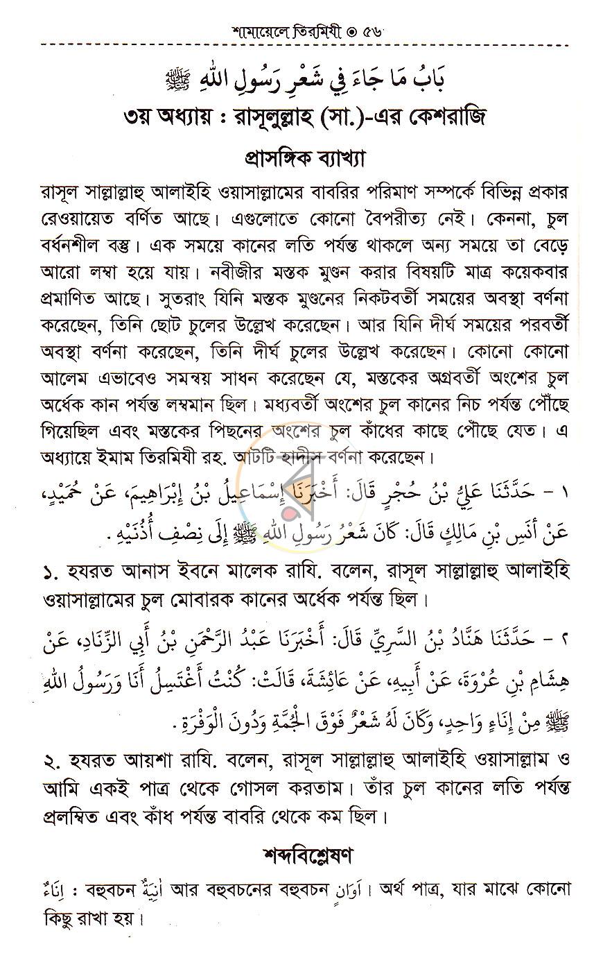 পাতা 16