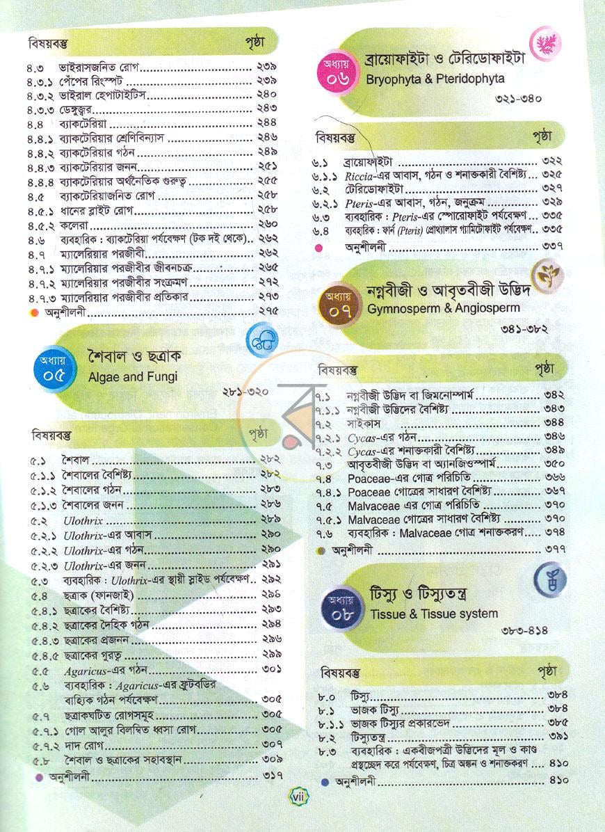 পাতা 4