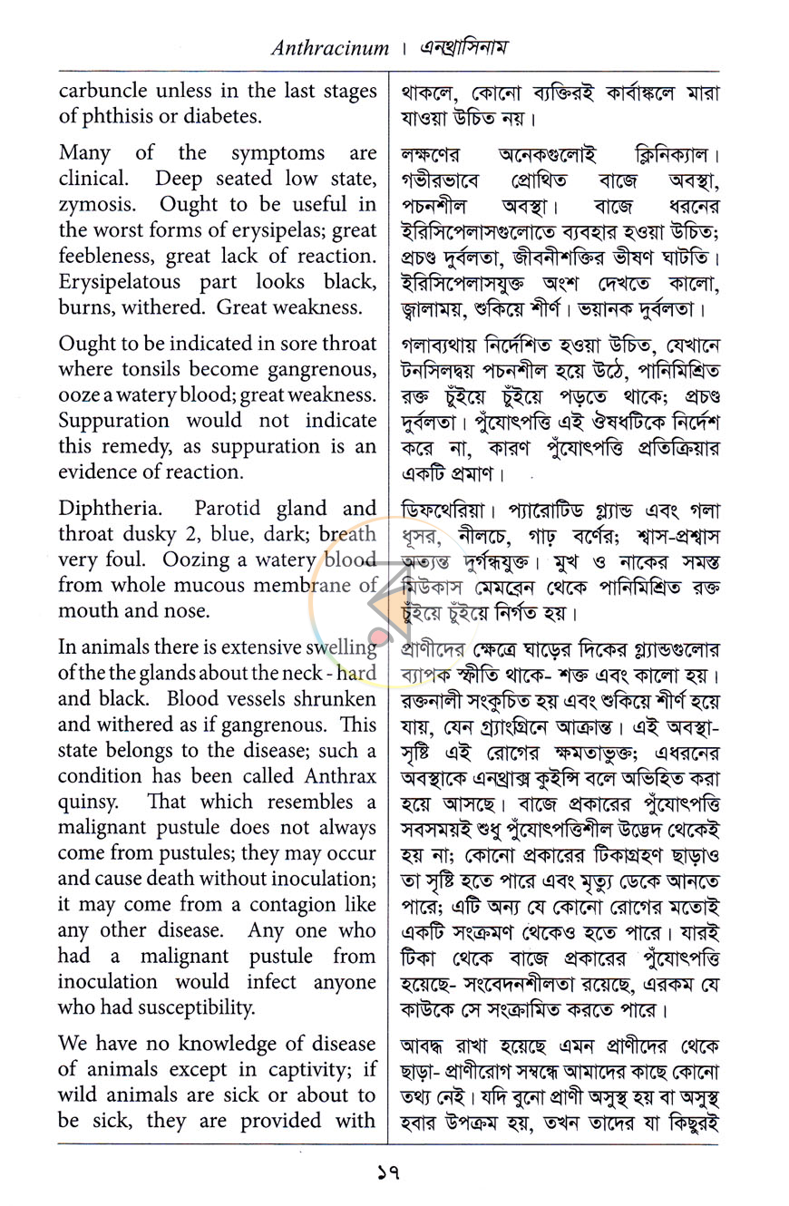 পাতা 11