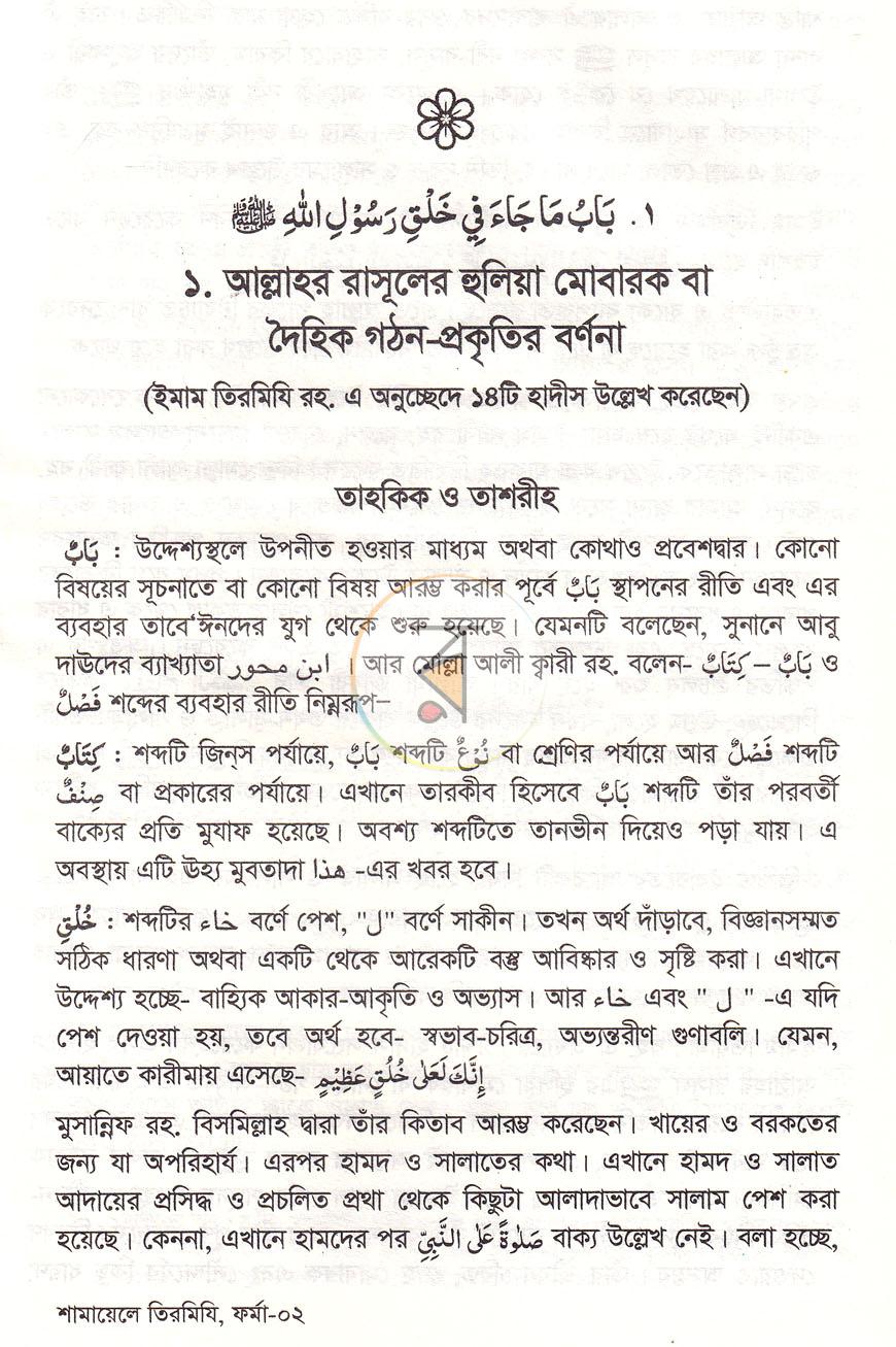 পাতা 13