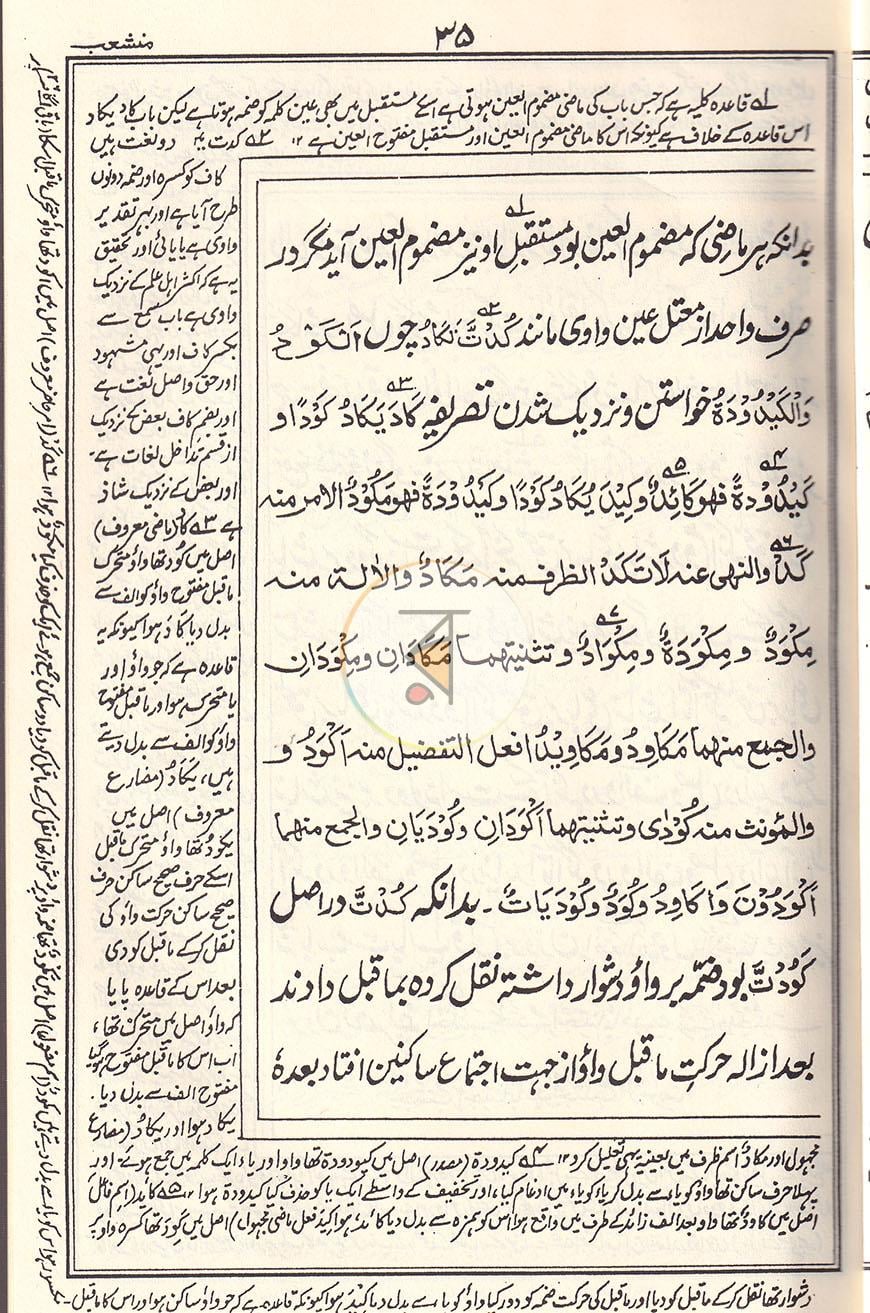 পাতা 13