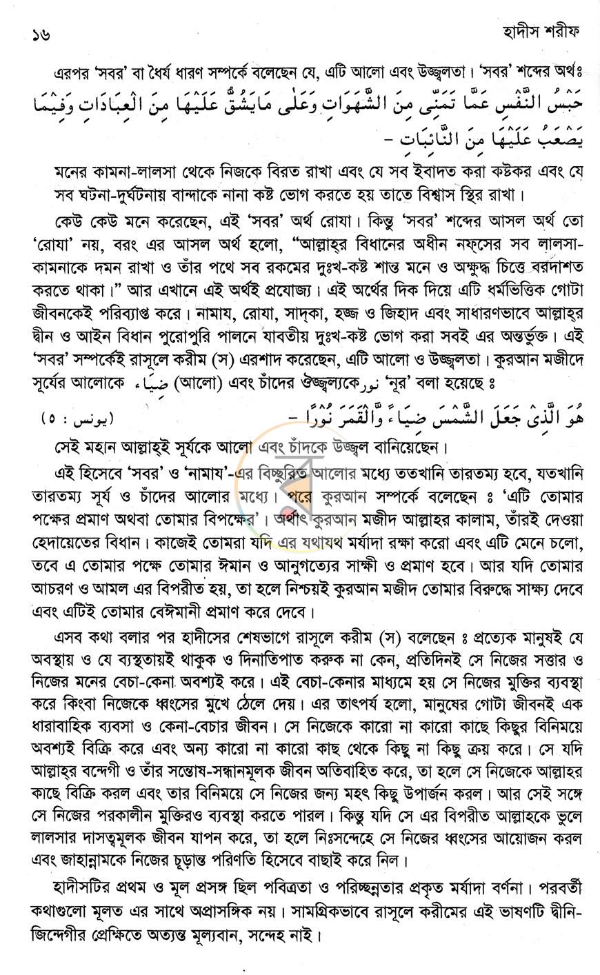 পাতা 11