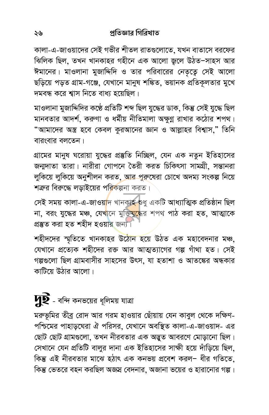 পাতা 11