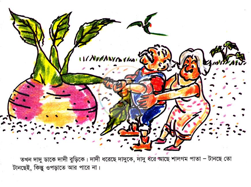 পাতা 3