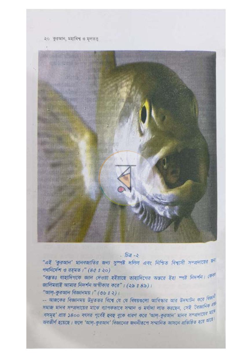 পাতা 12