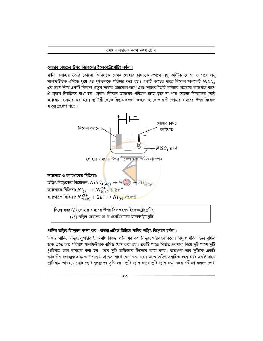 পাতা 13