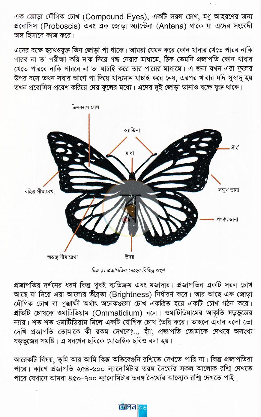 পাতা 34