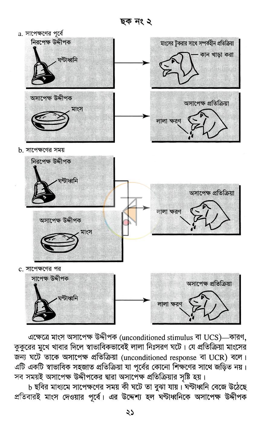 পাতা 10
