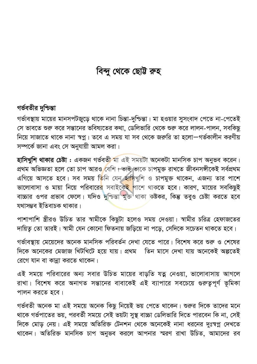 পাতা 13