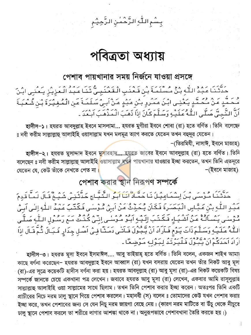পাতা 14