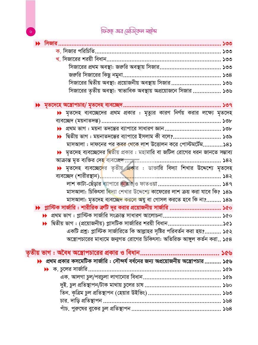 পাতা 13
