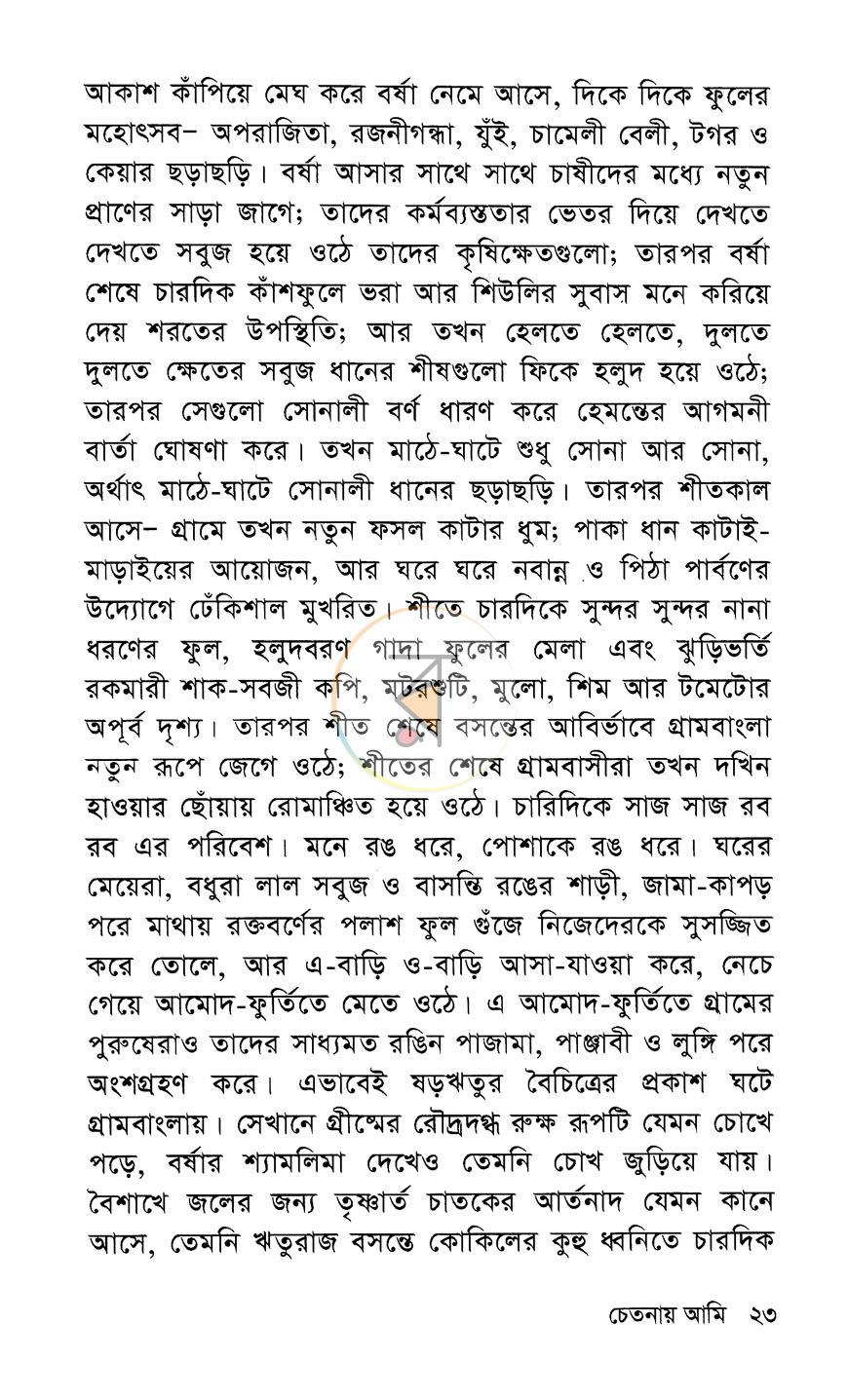পাতা 11