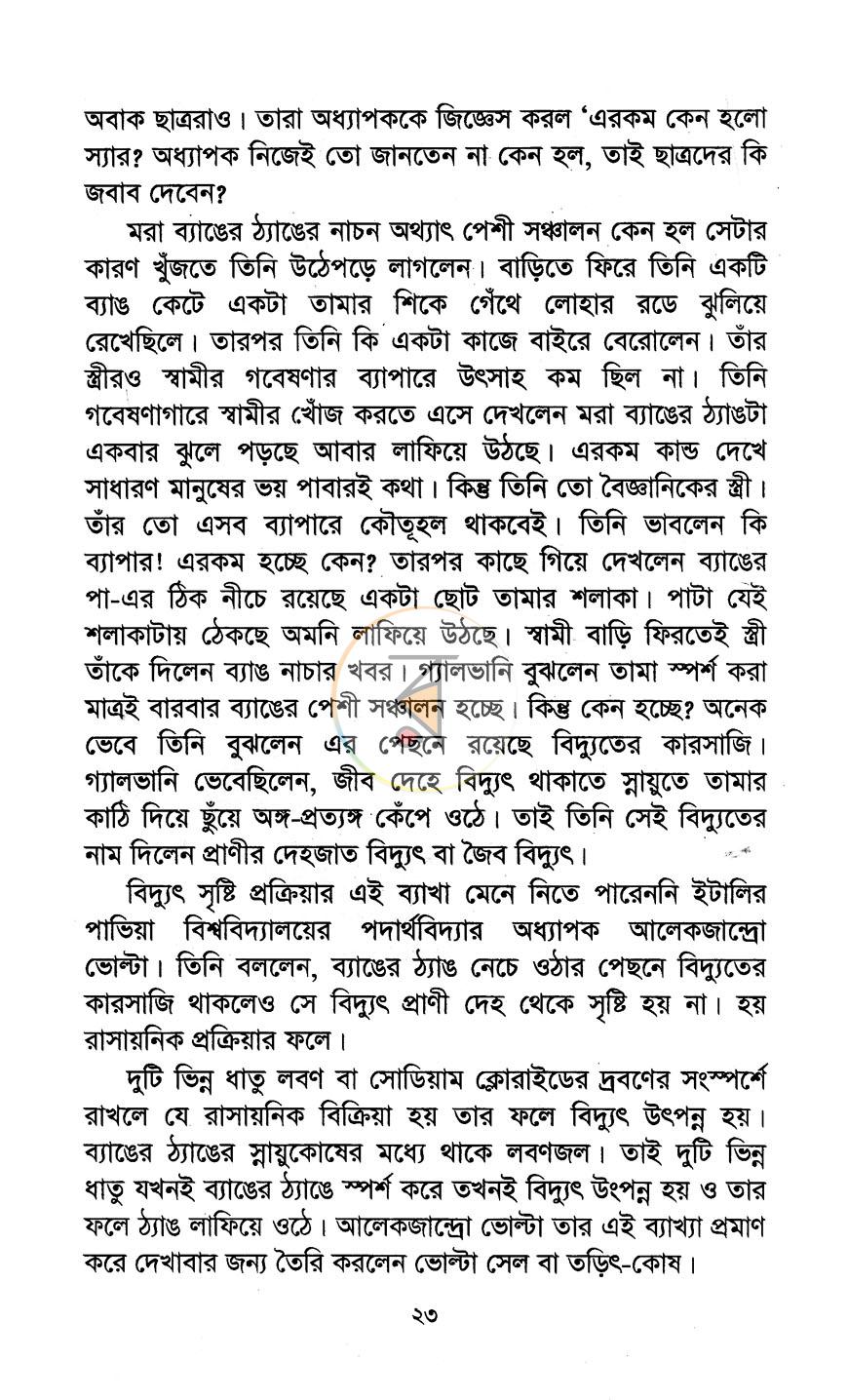 পাতা 13